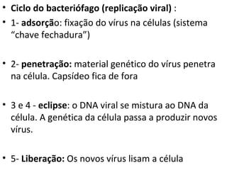 Ciclo do bacteriófago (replicação viral)  :  1-  adsorçã o: fixação do vírus na células (sistema “chave fechadura”) 2-  penetração:  material genético do vírus penetra na célula. Capsídeo fica de fora 3 e 4 -  eclipse : o DNA viral se mistura ao DNA da célula. A genética da célula passa a produzir novos vírus.  5-  Liberação:  Os novos vírus lisam a célula 