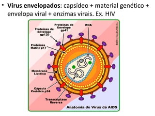 Vírus envelopados : capsídeo + material genético + envelopa viral + enzimas virais. Ex. HIV 