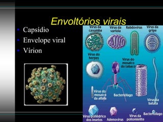 Envoltórios virais
• Capsídio
• Envelope viral
• Vírion
 