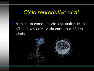 Ciclo reprodutivo viral
• A maneira como um vírus se multiplica na
  célula hospedeira varia entre as espécies
  virais.
 