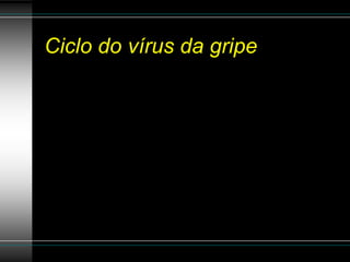 Ciclo do vírus da gripe
 