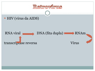 HIV (vírus da AIDS) RNA viral  DNA (fita dupla)   RNAm transcriptase reversa Vírus 