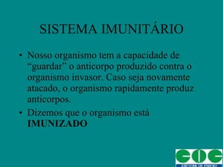 SISTEMA IMUNITÁRIO Nosso organismo tem a capacidade de “guardar” o anticorpo produzido contra o organismo invasor. Caso seja novamente atacado, o organismo rapidamente produz anticorpos. Dizemos que o organismo está  IMUNIZADO 