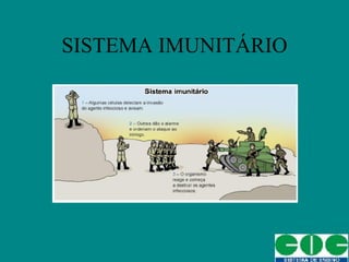 SISTEMA IMUNITÁRIO 