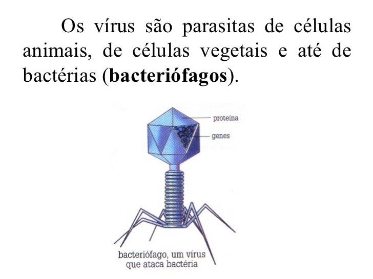 Pastilhas contra vermes de crianças aproximadamente um ano