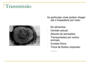 Transmissão As partículas virais podem chegar até o hospedeiro por meio: De alimentos; Contato sexual; Através de secreções; Transportados por outros animais; Contato físico; Troca de fluidos corporais; ......... 