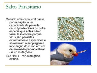 Salto Parasitário Quando uma cepa viral passa, por mutação, a ter capacidade de parasitar outro tipo de célula ou outra espécie que antes não o fazia. Isso ocorre porque vírus são parasitas extremamente específicos e só realizam a acoplagem e inoculação do vírion em um determinado padrão celular (salvo mutações).  Ex.: H5N1 – vírus da gripe aviária. 