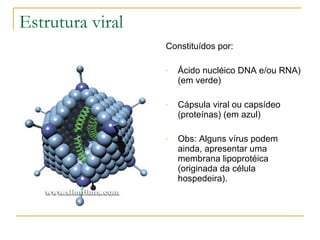 Estrutura viral Constituídos por: Ácido nucléico DNA e/ou RNA) (em verde) Cápsula viral ou capsídeo (proteínas) (em azul) Obs: Alguns vírus podem ainda, apresentar uma membrana lipoprotéica (originada da célula hospedeira). 