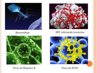 Bacteriófago        HIV infectando leucócitos




Vírus da Hepatite B        Vírus da H1N1
 