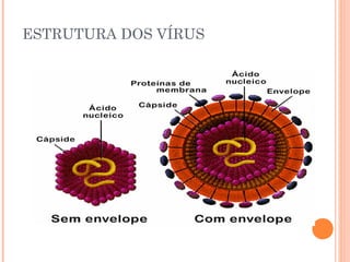 ESTRUTURA DOS VÍRUS
 