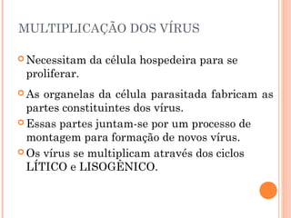 MULTIPLICAÇÃO DOS VÍRUS

 Necessitam   da célula hospedeira para se
 proliferar.
 As organelas da célula parasitada fabricam as
  partes constituintes dos vírus.
 Essas partes juntam-se por um processo de
  montagem para formação de novos vírus.
 Os vírus se multiplicam através dos ciclos
  LÍTICO e LISOGÊNICO.
 