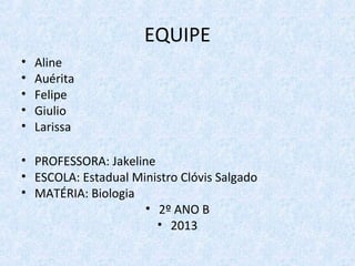 EQUIPE
• Aline
• Auérita
• Felipe
• Giulio
• Larissa
• PROFESSORA: Jakeline
• ESCOLA: Estadual Ministro Clóvis Salgado
• MATÉRIA: Biologia
• 2º ANO B
• 2013
 