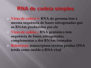 





Vírus de cadeia +: RNA do genoma tem a
mesma sequência de bases nitrogenadas que
os RNAm produzidos por ele
Vírus de cadeia -: RNA genômico tem
sequência de bases nitrogenadas,
complementar a dos RNAm formados
Retrovírus: transcriptase reversa produz DNA
tendo como molde o RNA viral

 