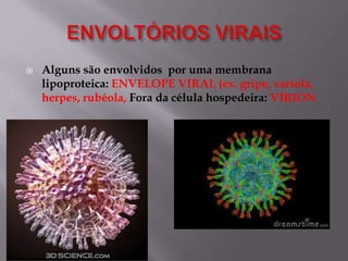 

Alguns são envolvidos por uma membrana
lipoproteica: ENVELOPE VIRAL (ex. gripe, varíola,
herpes, rubéola, Fora da célula hospedeira: VÍRION

 