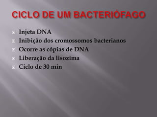 





Injeta DNA
Inibição dos cromossomos bacterianos
Ocorre as cópias de DNA
Liberação da lisozima
Ciclo de 30 min

 