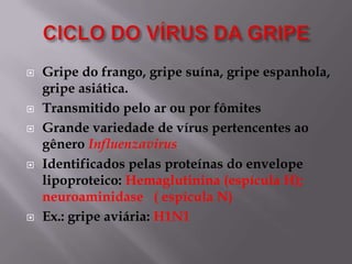 








Gripe do frango, gripe suína, gripe espanhola,
gripe asiática.
Transmitido pelo ar ou por fômites
Grande variedade de vírus pertencentes ao
gênero Influenzavirus
Identificados pelas proteínas do envelope
lipoproteico: Hemaglutinina (espícula H);
neuroaminidase ( espícula N)
Ex.: gripe aviária: H1N1

 