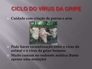 





Cuidado com criação de porcos e aves

Pode haver recombinação entre o vírus do
animal e o vírus da gripe humana
Muito comum no sudoeste asiático (basta
apenas uma mutação)

 