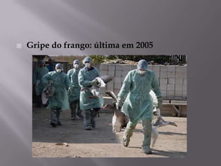 

Gripe do frango: última em 2005

 