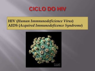 HIV (Human Immnunodeficience Vírus)
HIV (Human Immnunodeficience Vírus)
 AIDS (Acquired Immunodeficence Syndrome)
AIDS (Acquired Immunodeficence Syndrome)


 