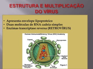 • Apresenta envelope lipoproteico
• Duas moléculas de RNA cadeia simples
• Enzimas trancriptase reversa (RETROVÍRUS)

 