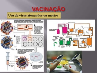 Uso de vírus atenuados ou mortos

 
