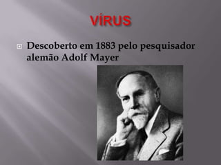 

Descoberto em 1883 pelo pesquisador
alemão Adolf Mayer

 