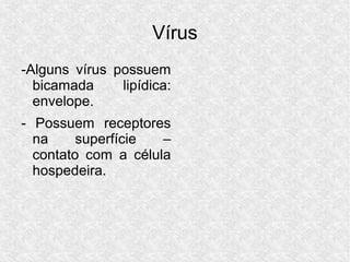 Vírus
-Alguns vírus possuem
bicamada lipídica:
envelope.
- Possuem receptores
na superfície –
contato com a célula
hospede...