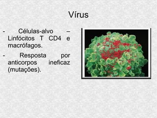 Vírus
- Células-alvo –
Linfócitos T CD4 e
macrófagos.
- Resposta por
anticorpos ineficaz
(mutações).
 