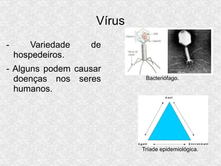 Vírus Slide 9