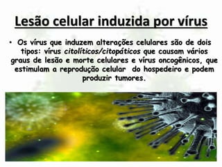 Vírus são os únicos organismos acelulares da Terra atual | PPTX