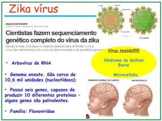 Zika vírus
• Arbovírus de RNA
• Família: Flavovirídae
Vírus temido!!!!!!!
Síndrome de Guillain
Barre
Microcefalia• Genoma enxuto. São cerca de
10,6 mil unidades (nucleotídeos);
• Possui seis genes, capazes de
produzir 10 diferentes proteínas –
alguns genes são polivalentes.
 