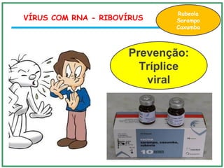 Prevenção:
Tríplice
viral
VÍRUS COM RNA - RIBOVÍRUS
Rubeola
Sarampo
Caxumba
 