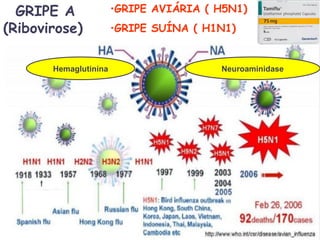 •GRIPE AVIÁRIA ( H5N1)
•GRIPE SUÍNA ( H1N1)
Hemaglutinina Neuroaminidase
GRIPE A
(Ribovirose)
 