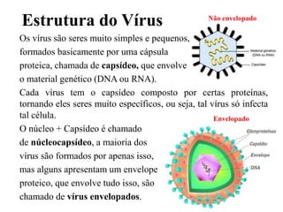 Estrutura do Vírus
Os vírus são seres muito simples e pequenos,
formados basicamente por uma cápsula
proteica, chamada de capsídeo, que envolve
o material genético (DNA ou RNA).
Cada vírus tem o capsídeo composto por certas proteínas,
tornando eles seres muito específicos, ou seja, tal vírus só infecta
tal célula.
O núcleo + Capsídeo é chamado
de núcleocapsídeo, a maioria dos
vírus são formados por apenas isso,
mas alguns apresentam um envelope
proteico, que envolve tudo isso, são
chamado de vírus envelopados.
Não envelopado
Envelopado
 