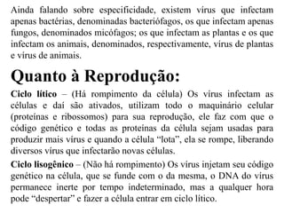 Ainda falando sobre especificidade, existem vírus que infectam
apenas bactérias, denominadas bacteriófagos, os que infectam apenas
fungos, denominados micófagos; os que infectam as plantas e os que
infectam os animais, denominados, respectivamente, vírus de plantas
e vírus de animais.
Quanto à Reprodução:
Ciclo lítico – (Há rompimento da célula) Os vírus infectam as
células e daí são ativados, utilizam todo o maquinário celular
(proteínas e ribossomos) para sua reprodução, ele faz com que o
código genético e todas as proteínas da célula sejam usadas para
produzir mais vírus e quando a célula “lota”, ela se rompe, liberando
diversos vírus que infectarão novas células.
Ciclo lisogênico – (Não há rompimento) Os vírus injetam seu código
genético na célula, que se funde com o da mesma, o DNA do vírus
permanece inerte por tempo indeterminado, mas a qualquer hora
pode “despertar” e fazer a célula entrar em ciclo lítico.
 