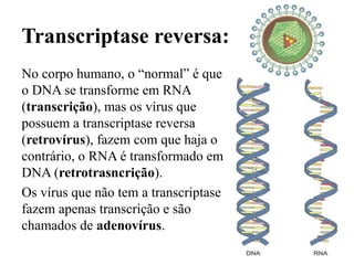 Transcriptase reversa:
No corpo humano, o “normal” é que
o DNA se transforme em RNA
(transcrição), mas os vírus que
possuem a transcriptase reversa
(retrovírus), fazem com que haja o
contrário, o RNA é transformado em
DNA (retrotrasncrição).
Os vírus que não tem a transcriptase
fazem apenas transcrição e são
chamados de adenovírus.
 