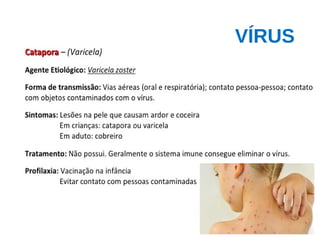 VÍRUS
 