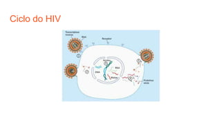 Ciclo do HIV
 