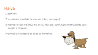Raiva
Lyssavirus
Transmissão: mordida de animais (cães, morcegos);
Sintomas: lesões no SNC; mal-estar, náuseas, convulsões e dificuldade para
engolir e respirar;
Prevenção: vacinação de cães de humanos.
 