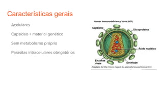 Características gerais
Acelulares
Capsídeo + material genético
Sem metabolismo próprio
Parasitas intracelulares obrigatórios
 