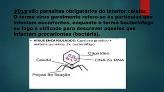 Vírus são parasitas obrigatórios do interior celular.
O termo vírus geralmente refere-se às partículas que
infectam eucariontes, enquanto o termo bacteriófago
ou fago é utilizado para descrever aqueles que
infectam procariontes (bactéria).
 