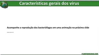 Acompanhe a reprodução dos bacteriófagos em uma animação no próximo slide
Créditos: alpha taurus 3D
Características gerais dos vírus
 