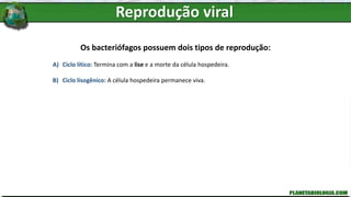 Os bacteriófagos possuem dois tipos de reprodução:
A) Ciclo lítico: Termina com a lise e a morte da célula hospedeira.
B) Ciclo lisogênico: A célula hospedeira permanece viva.
Reprodução viral
 