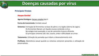 Doenças causadas por vírus
Principais Viroses
Hespes Genital
Agente Etiológico: Herpes simplex tipo II
Forma de transmissão: Contato sexual
Sintomas: Formação de ferimentos na base do pênis e na região externa da vagina.
Os ferimentos liberam um líquido viscoso contendo o vírus.
No estágio mais avançado, o uso de camisinha é pouco eficiente.
Os principais sintomas são: dor, coceira, ardor e dificuldade ao urinar.
Tratamento: Utilização de pomadas que inibem o desenvolvimento viral.
Profilaxia: Abstinência sexual quando os sintomas estiverem presentes e utilização de
preservativos.
 