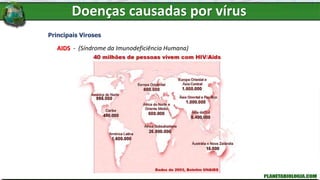 Doenças causadas por vírus
Principais Viroses
AIDS - (Síndrome da Imunodeficiência Humana)
 