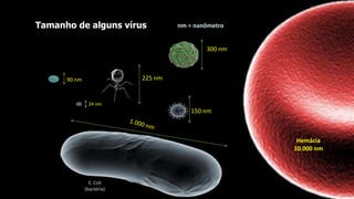 Tamanho de alguns vírus
225 nm
300 nm
90 nm
150 nm
Hemácia
10.000 nm
E. Coli
(bactéria)
24 nm
nm = nanômetro
 