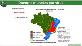 Principais Viroses
Febre Amarela
V) Áreas de Risco
Doenças causadas por vírus
 