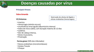 Principais Viroses
Febre Amarela
VI) Sintomas
• Icterícia
• Hemorragia (vômito escuro)
• Insuficiência renal aguda (albuminúria intensa)
• Febre de início súbito, com duração máxima de 12 dias
• Calafrios
• Dor de cabeça intensa,
• Dores musculares,
• Prostração
Forma grave (50% dos infectados)
• Danos endoteliais (microtromboses)
• Anóxia Tissular
• Choque
Destruição de células do fígado e
células endoteliais (hemorragias).
Doenças causadas por vírus
 