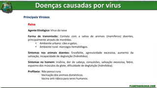 Doenças causadas por vírus
Principais Viroses
Raiva
Agente Etiológico: Vírus da raiva
Forma de transmissão: Contato com a saliva de animais (mamíferos) doentes,
principalmente através de mordidas.
• Ambiente urbano: cães e gatos.
• Ambiente rural: morcegos hematófagos.
Sintomas nos animais doentes: Encefalite, agressividade excessiva, aumento da
salivação, incapacidade de deglutição (hidrofobia).
Sintomas no homem: Insônia, dor de cabeça, convulsões, salivação excessiva, febre,
espasmo dos músculos da glote, dificuldade de deglutição (hidrofobia).
Profilaxia: Não possui cura.
Vacinação dos animais domésticos.
Vacina anti-rábica para seres humanos.
 