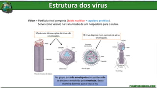 Vírion = Partícula viral completa (ácido nucléico + capsídeo protéico).
Serve como veículo na transmissão de um hospedeiro para o outro.
Existem vírus de diferentes formas geométricas
(helicoidais, poliédricos, icosaédricos,
cilíndricos...)
Podemos classificar os vírus em dois grandes
grupos: o grupo dos vírus Envelopados e o dos
não Envelopados.
No grupo dos vírus envelopados o capsídeo é
coberto pelo envelope que é formado quando o
vírus é exocitado da célula hospedeira.
Dessa maneira, o envelope é formado por uma
porção da membrana citoplasmática da célula
hospedeira.
No grupo dos não envelopados o capsídeo não
se encontra envolvido pelo envelope, dessa
maneira dizemos que o vírus é nu.
O vírus da gripe é um exemplo de vírus
envelopado.
Os demais são exemplos de vírus não
envelopados.
Estrutura dos vírus
 